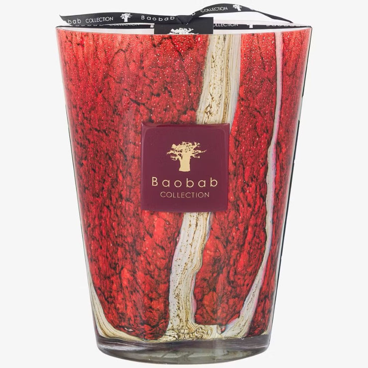 Baobab, Duftkerze Woods Risoud