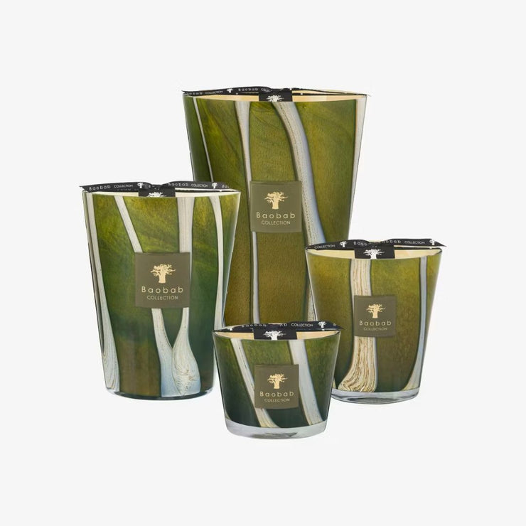 Baobab, Duftkerze Woods Sherwood