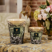 Baobab, Duftkerze Sacred Tree Touba