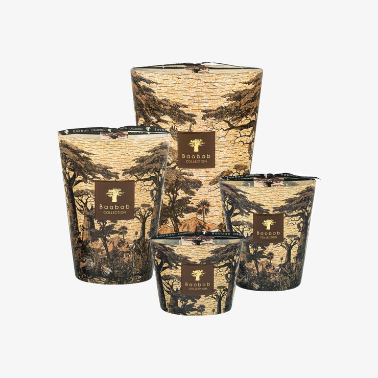 Baobab, Duftkerze Sacred Tree Mankono, diverse Grössen