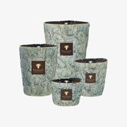 Baobab, Duftkerze Brame Sylvanus