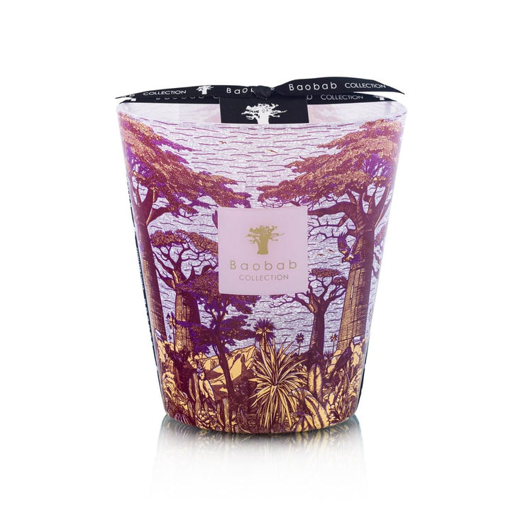 Baobab, Duftkerze Sacred Trees Summer